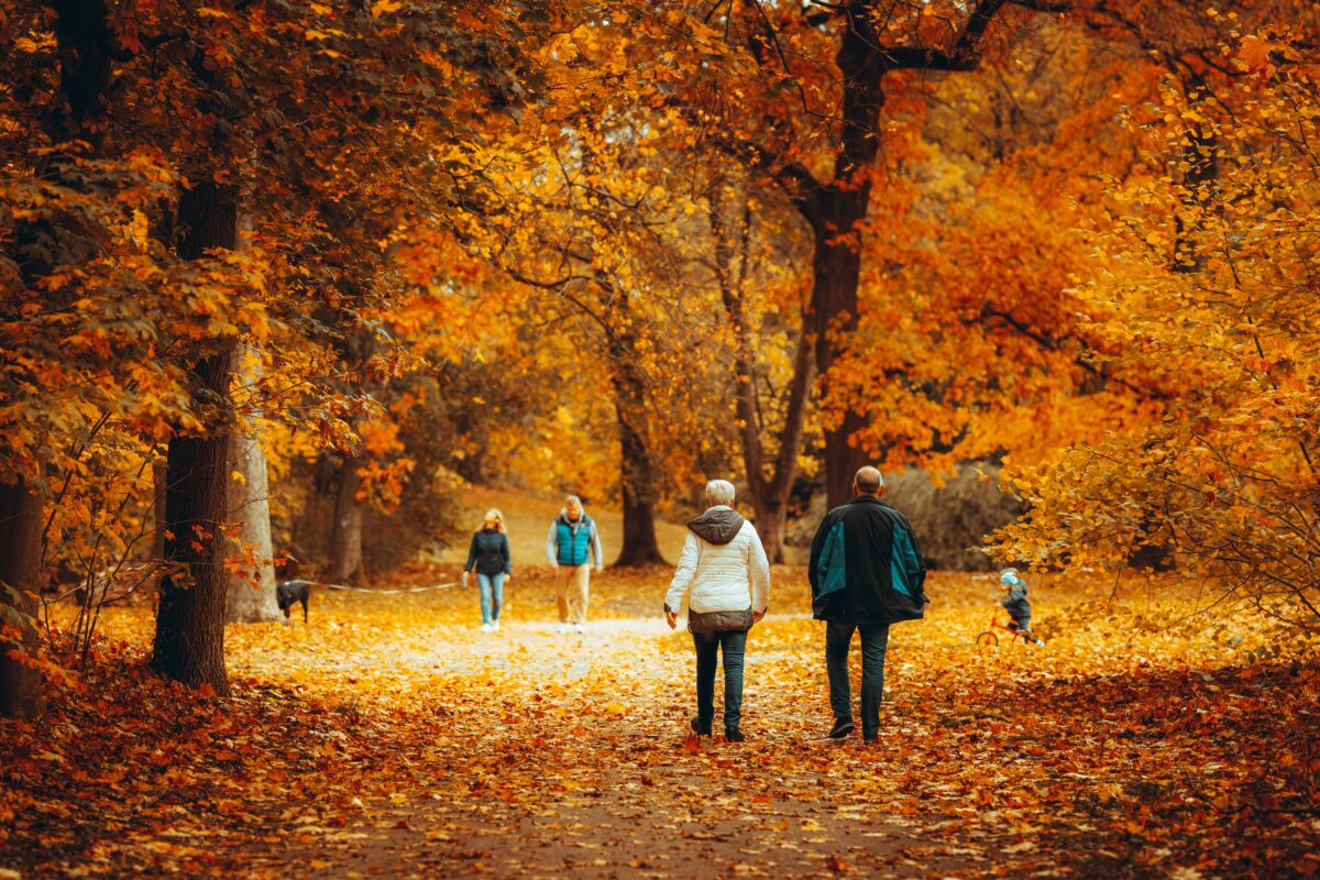 Mindful walkers in autumn